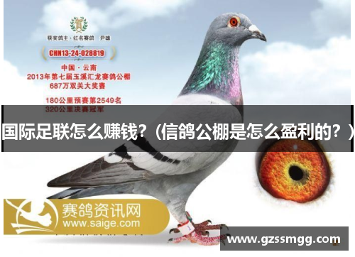 国际足联怎么赚钱？(信鸽公棚是怎么盈利的？)
