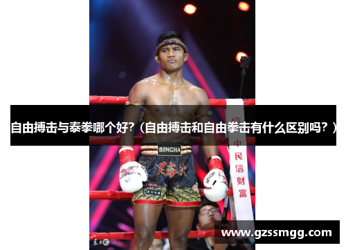 自由搏击与泰拳哪个好？(自由搏击和自由拳击有什么区别吗？)