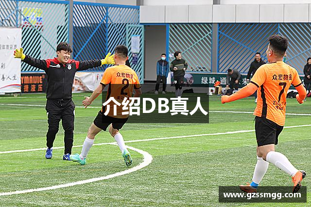 介绍DB真人